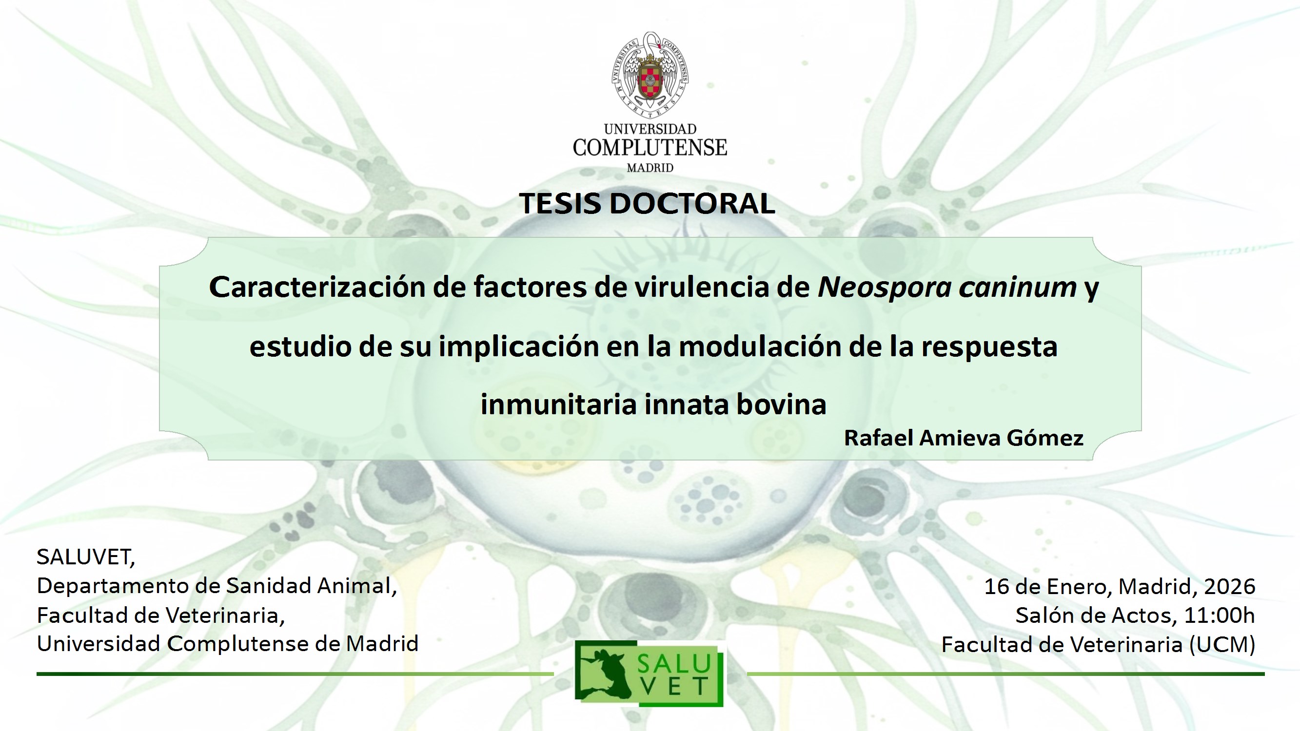 No te pierdas la defensa de esta tesis doctoral de Rafael Amieva sobre Neospora el 16 de enero de 2026